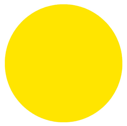Pintura Amarillo Tráfico Para Concreto 10 kgs Rodillo Gratis
